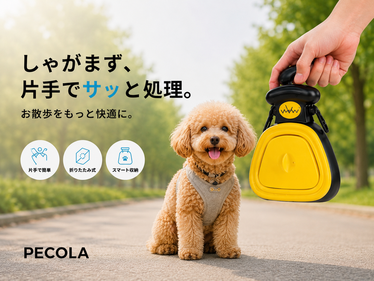 犬との日常