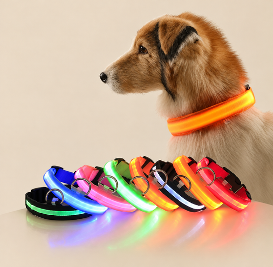 犬用 LEDセーフティ首輪 光る 夜間お散歩 安全対策