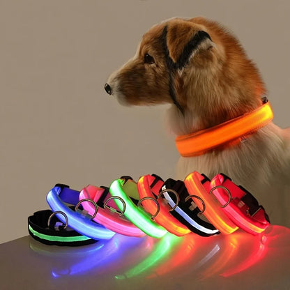 犬用 LEDセーフティ首輪 光る 夜間お散歩 安全対策