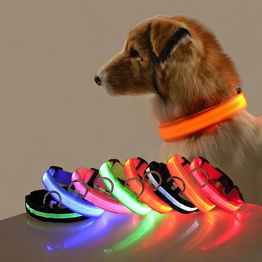 犬用 LEDセーフティ首輪 光る 夜間お散歩 安全対策