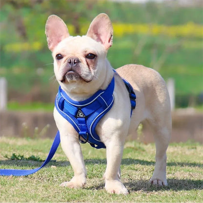 犬用 ノープルハーネス 反射ストリップ付き 小型犬〜大型犬対応